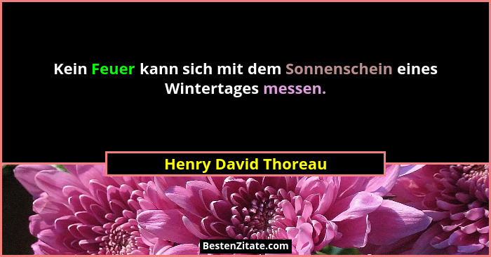 Kein Feuer kann sich mit dem Sonnenschein eines Wintertages messen.... - Henry David Thoreau