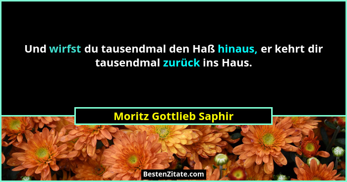 Und wirfst du tausendmal den Haß hinaus, er kehrt dir tausendmal zurück ins Haus.... - Moritz Gottlieb Saphir