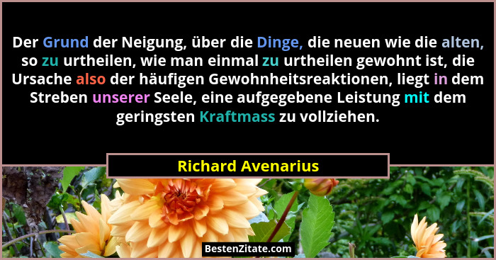 Der Grund der Neigung, über die Dinge, die neuen wie die alten, so zu urtheilen, wie man einmal zu urtheilen gewohnt ist, die Ursa... - Richard Avenarius