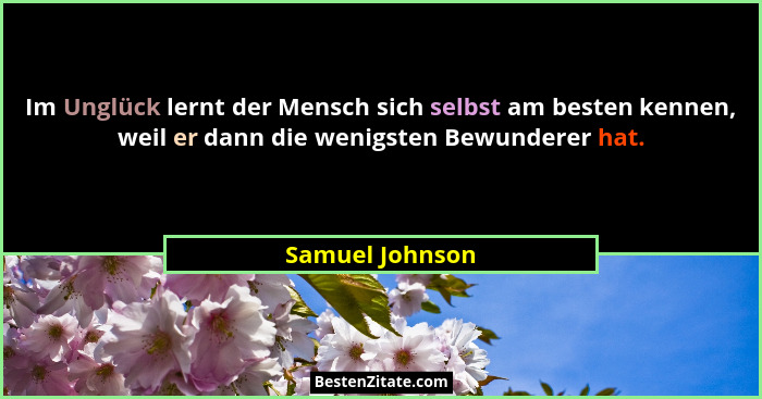 Im Unglück lernt der Mensch sich selbst am besten kennen, weil er dann die wenigsten Bewunderer hat.... - Samuel Johnson