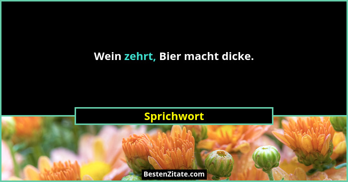 Wein zehrt, Bier macht dicke.... - Sprichwort