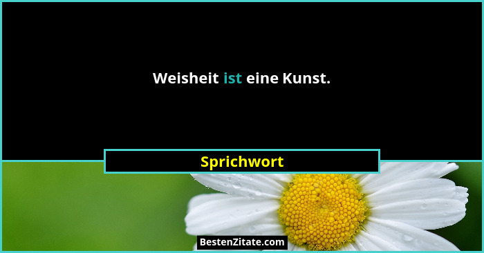 Weisheit ist eine Kunst.... - Sprichwort