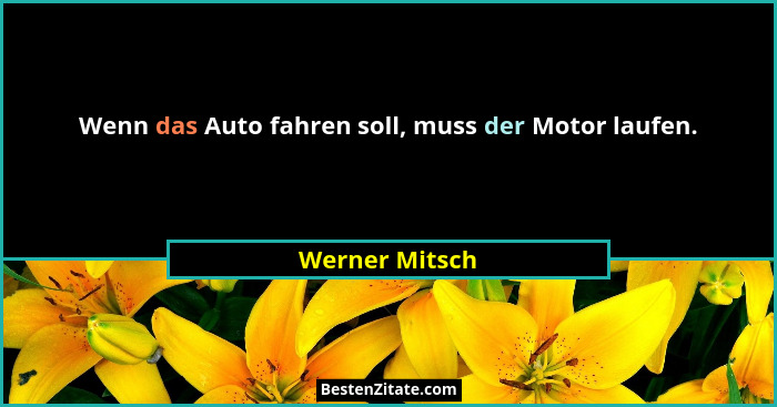 Wenn das Auto fahren soll, muss der Motor laufen.... - Werner Mitsch