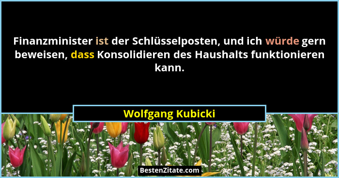 Finanzminister ist der Schlüsselposten, und ich würde gern beweisen, dass Konsolidieren des Haushalts funktionieren kann.... - Wolfgang Kubicki