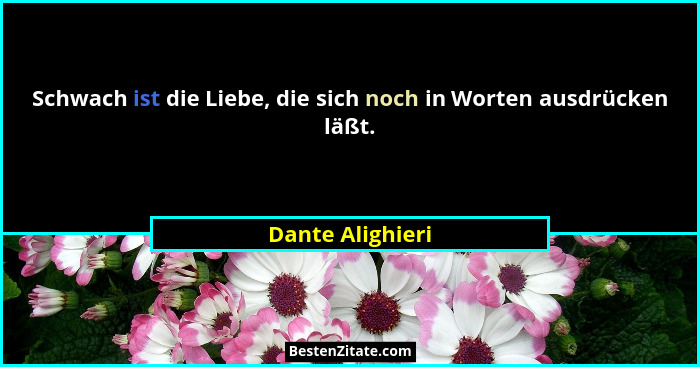 Schwach ist die Liebe, die sich noch in Worten ausdrücken läßt.... - Dante Alighieri