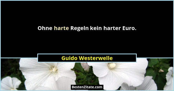 Ohne harte Regeln kein harter Euro.... - Guido Westerwelle