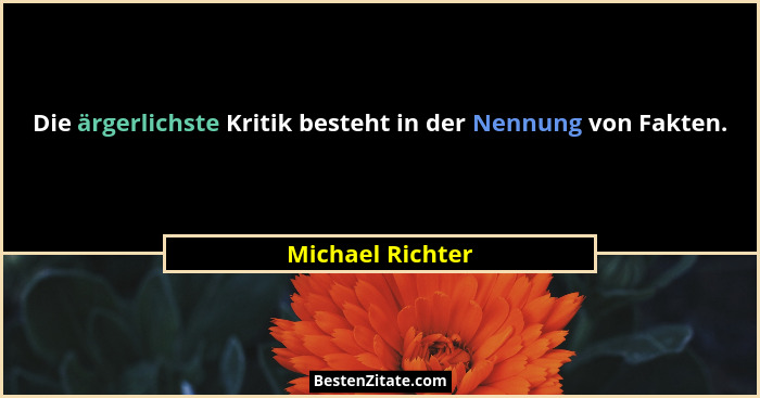 Die ärgerlichste Kritik besteht in der Nennung von Fakten.... - Michael Richter