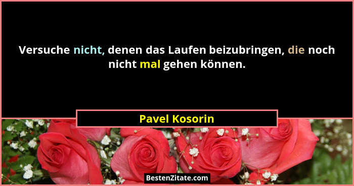 Versuche nicht, denen das Laufen beizubringen, die noch nicht mal gehen können.... - Pavel Kosorin