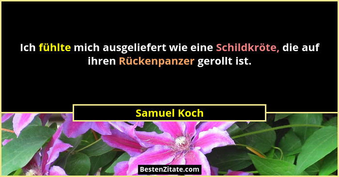 Ich fühlte mich ausgeliefert wie eine Schildkröte, die auf ihren Rückenpanzer gerollt ist.... - Samuel Koch