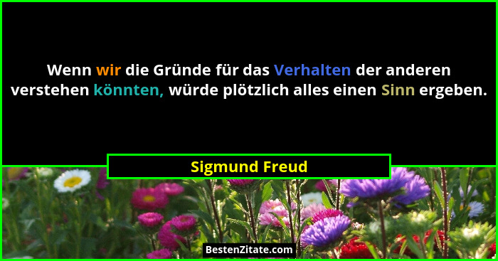 Wenn wir die Gründe für das Verhalten der anderen verstehen könnten, würde plötzlich alles einen Sinn ergeben.... - Sigmund Freud