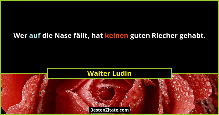 Wer auf die Nase fällt, hat keinen guten Riecher gehabt.... - Walter Ludin