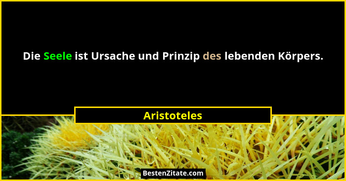 Die Seele ist Ursache und Prinzip des lebenden Körpers.... - Aristoteles