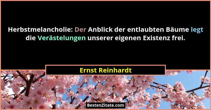 Herbstmelancholie: Der Anblick der entlaubten Bäume legt die Verästelungen unserer eigenen Existenz frei.... - Ernst Reinhardt