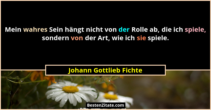 Mein wahres Sein hängt nicht von der Rolle ab, die ich spiele, sondern von der Art, wie ich sie spiele.... - Johann Gottlieb Fichte