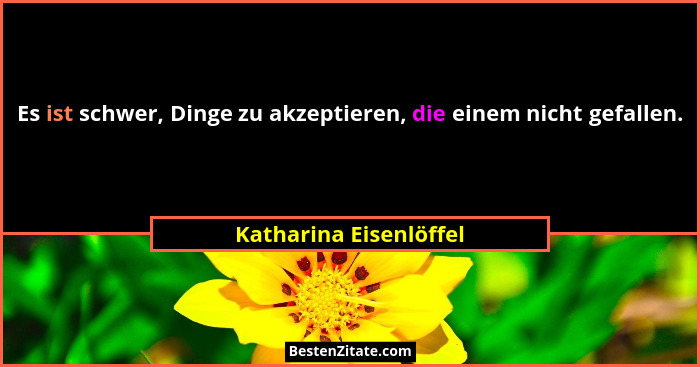 Es ist schwer, Dinge zu akzeptieren, die einem nicht gefallen.... - Katharina Eisenlöffel