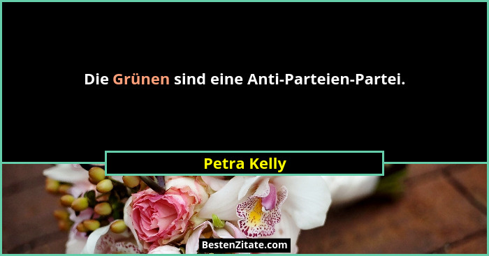 Die Grünen sind eine Anti-Parteien-Partei.... - Petra Kelly