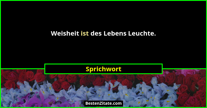 Weisheit ist des Lebens Leuchte.... - Sprichwort