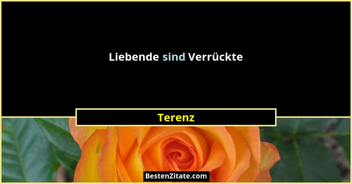 Liebende sind Verrückte... - Terenz
