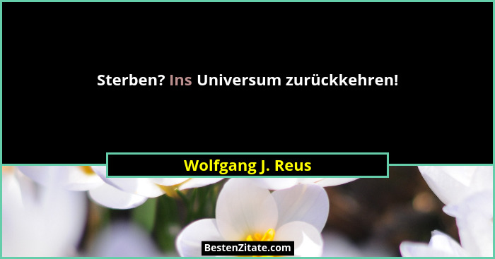 Sterben? Ins Universum zurückkehren!... - Wolfgang J. Reus