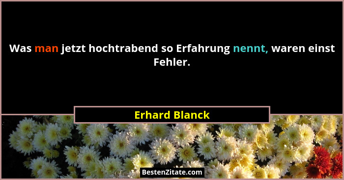 Was man jetzt hochtrabend so Erfahrung nennt, waren einst Fehler.... - Erhard Blanck