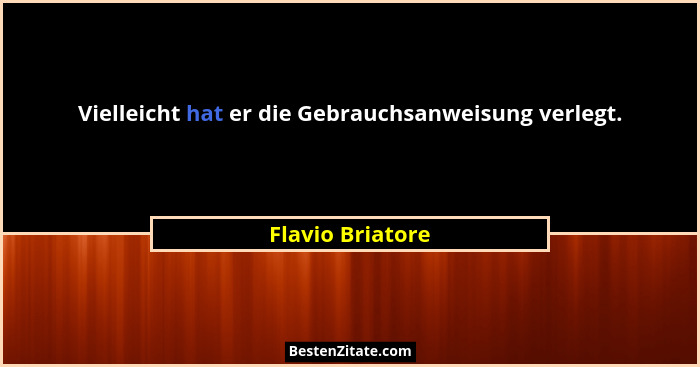 Vielleicht hat er die Gebrauchsanweisung verlegt.... - Flavio Briatore