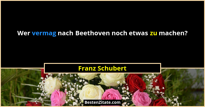 Wer vermag nach Beethoven noch etwas zu machen?... - Franz Schubert