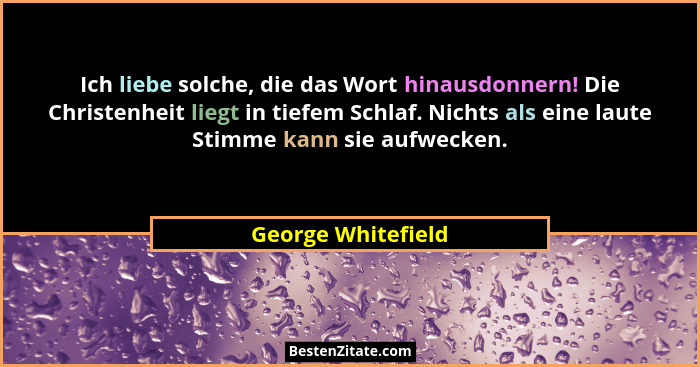 Ich liebe solche, die das Wort hinausdonnern! Die Christenheit liegt in tiefem Schlaf. Nichts als eine laute Stimme kann sie aufwe... - George Whitefield