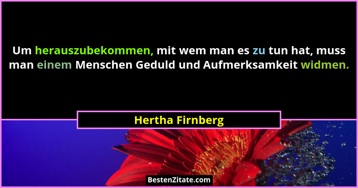 Um herauszubekommen, mit wem man es zu tun hat, muss man einem Menschen Geduld und Aufmerksamkeit widmen.... - Hertha Firnberg