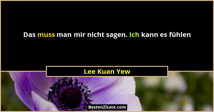 Das muss man mir nicht sagen. Ich kann es fühlen... - Lee Kuan Yew
