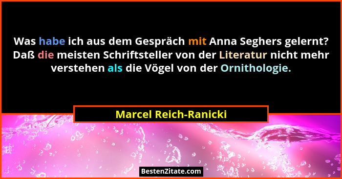 Was habe ich aus dem Gespräch mit Anna Seghers gelernt? Daß die meisten Schriftsteller von der Literatur nicht mehr verstehen a... - Marcel Reich-Ranicki
