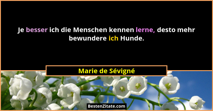 Je besser ich die Menschen kennen lerne, desto mehr bewundere ich Hunde.... - Marie de Sévigné