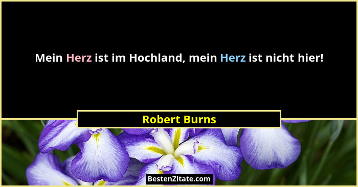 Mein Herz ist im Hochland, mein Herz ist nicht hier!... - Robert Burns