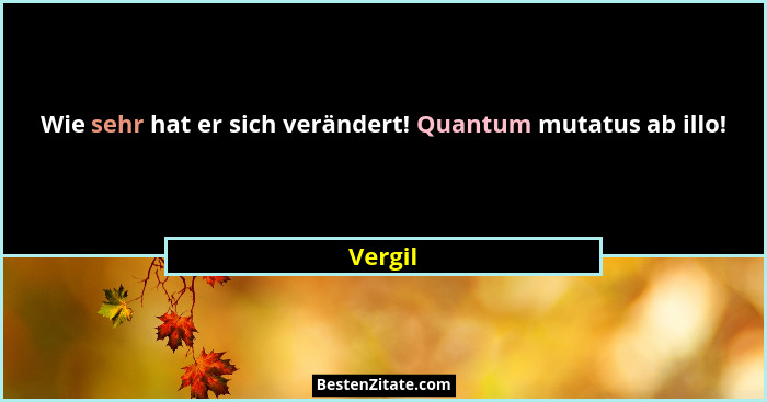 Wie sehr hat er sich verändert! Quantum mutatus ab illo!... - Vergil