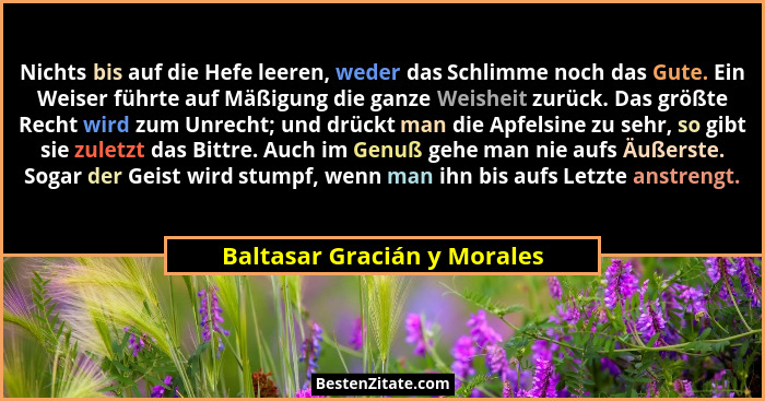Nichts bis auf die Hefe leeren, weder das Schlimme noch das Gute. Ein Weiser führte auf Mäßigung die ganze Weisheit zurüc... - Baltasar Gracián y Morales