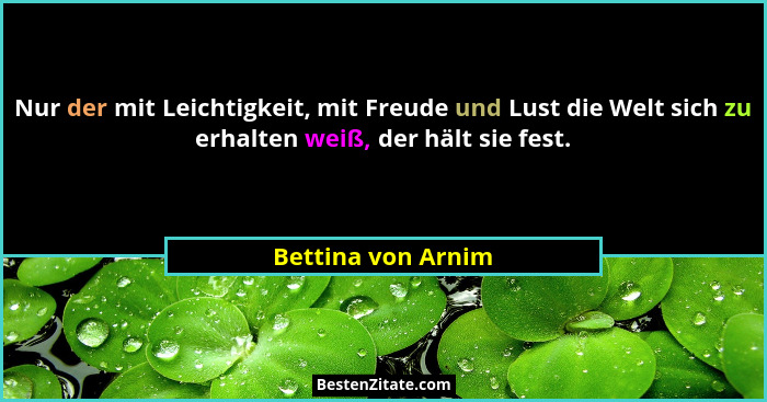 Nur der mit Leichtigkeit, mit Freude und Lust die Welt sich zu erhalten weiß, der hält sie fest.... - Bettina von Arnim