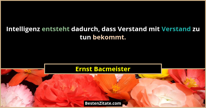 Intelligenz entsteht dadurch, dass Verstand mit Verstand zu tun bekommt.... - Ernst Bacmeister