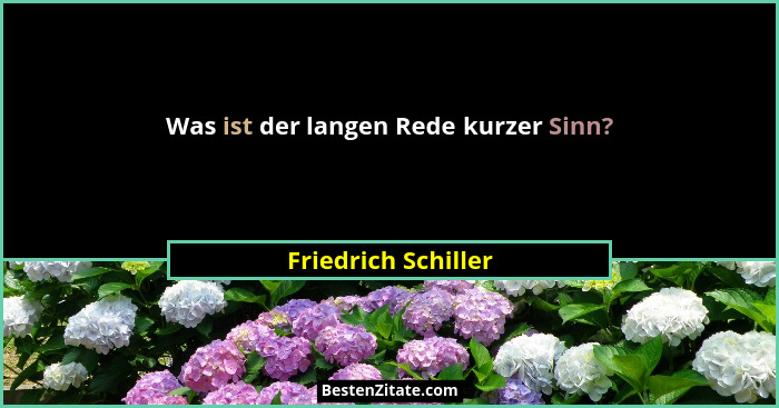 Was ist der langen Rede kurzer Sinn?... - Friedrich Schiller