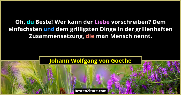 Oh, du Beste! Wer kann der Liebe vorschreiben? Dem einfachsten und dem grilligsten Dinge in der grillenhaften Zusammenset... - Johann Wolfgang von Goethe