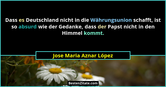 Dass es Deutschland nicht in die Währungsunion schafft, ist so absurd wie der Gedanke, dass der Papst nicht in den Himmel kom... - Jose Maria Aznar López