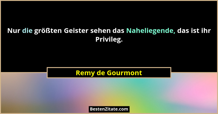 Nur die größten Geister sehen das Naheliegende, das ist ihr Privileg.... - Remy de Gourmont