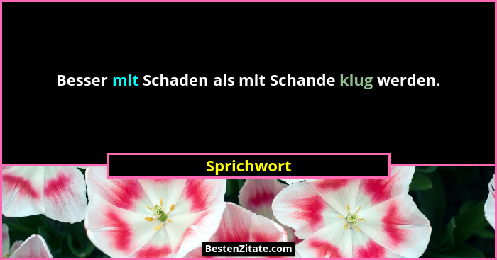 Besser mit Schaden als mit Schande klug werden.... - Sprichwort