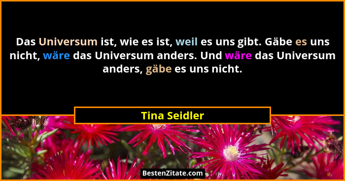 Das Universum ist, wie es ist, weil es uns gibt. Gäbe es uns nicht, wäre das Universum anders. Und wäre das Universum anders, gäbe es u... - Tina Seidler