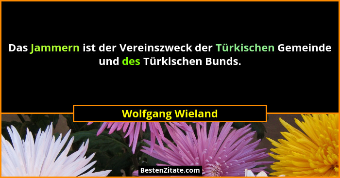 Das Jammern ist der Vereinszweck der Türkischen Gemeinde und des Türkischen Bunds.... - Wolfgang Wieland