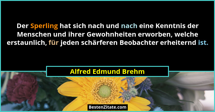 Der Sperling hat sich nach und nach eine Kenntnis der Menschen und ihrer Gewohnheiten erworben, welche erstaunlich, für jeden sc... - Alfred Edmund Brehm