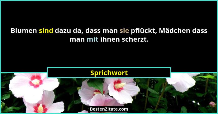 Blumen sind dazu da, dass man sie pflückt, Mädchen dass man mit ihnen scherzt.... - Sprichwort