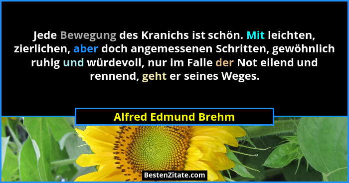Jede Bewegung des Kranichs ist schön. Mit leichten, zierlichen, aber doch angemessenen Schritten, gewöhnlich ruhig und würdevoll... - Alfred Edmund Brehm