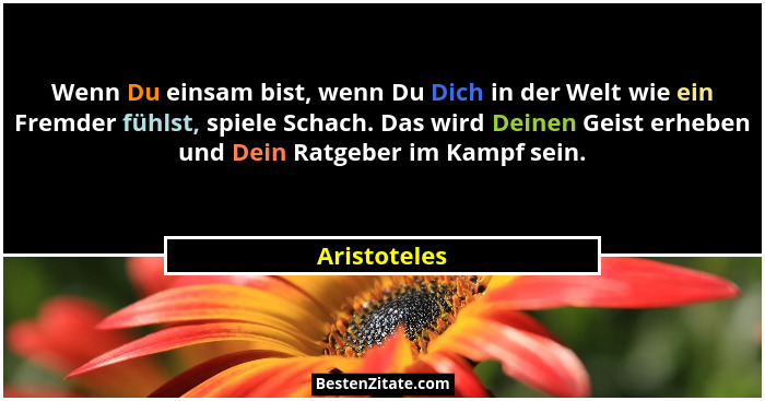Wenn Du einsam bist, wenn Du Dich in der Welt wie ein Fremder fühlst, spiele Schach. Das wird Deinen Geist erheben und Dein Ratgeber im... - Aristoteles
