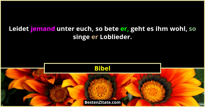 Leidet jemand unter euch, so bete er, geht es ihm wohl, so singe er Loblieder.... - Bibel