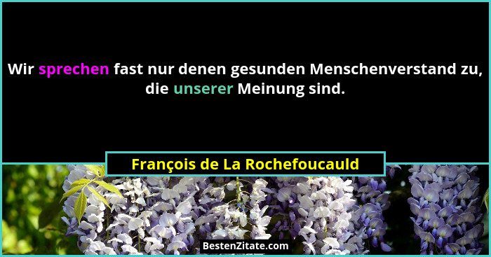 Wir sprechen fast nur denen gesunden Menschenverstand zu, die unserer Meinung sind.... - François de La Rochefoucauld