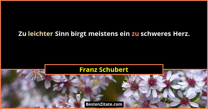 Zu leichter Sinn birgt meistens ein zu schweres Herz.... - Franz Schubert